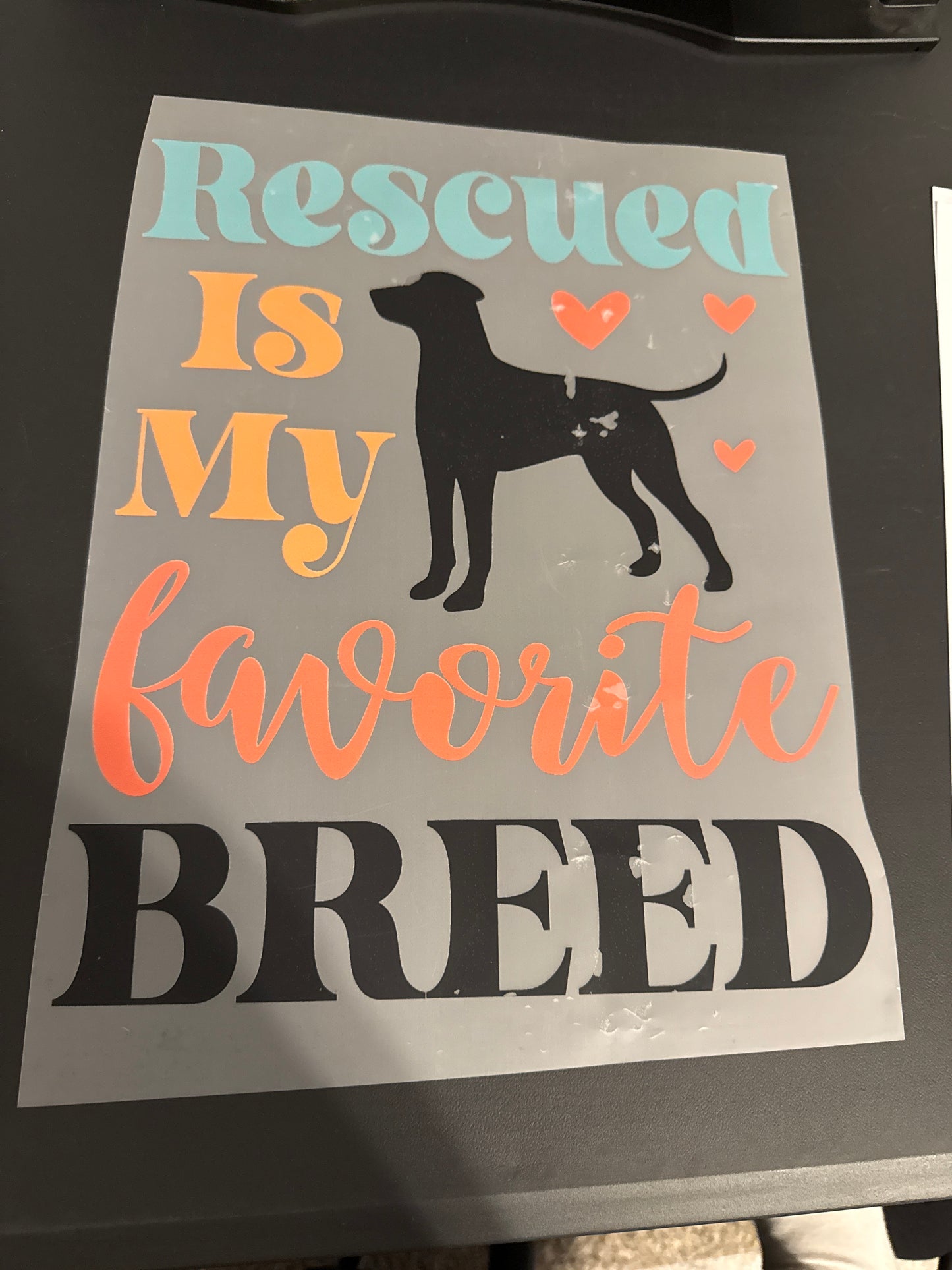 Dog/Cat Heat Transfers