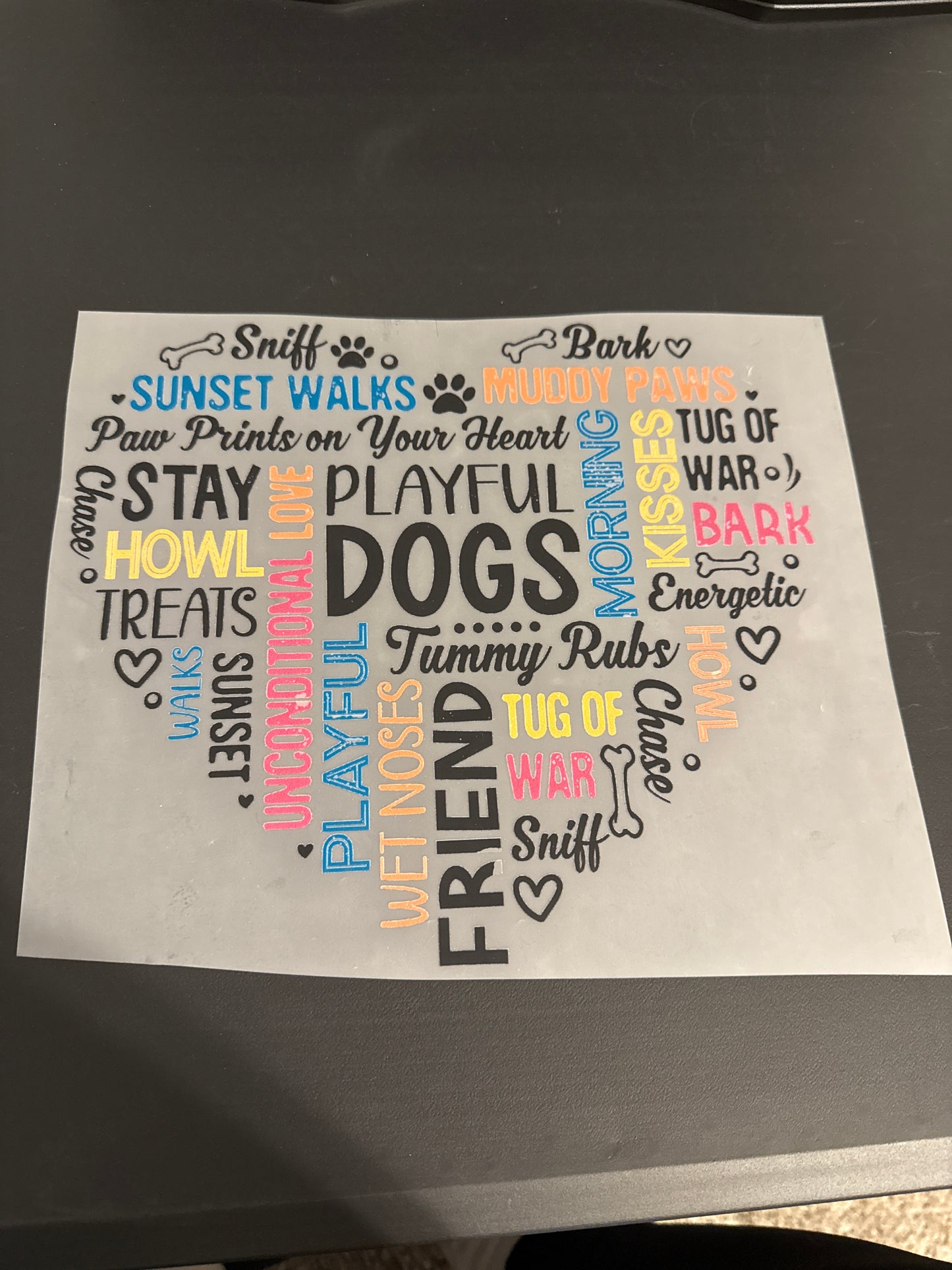 Dog/Cat Heat Transfers