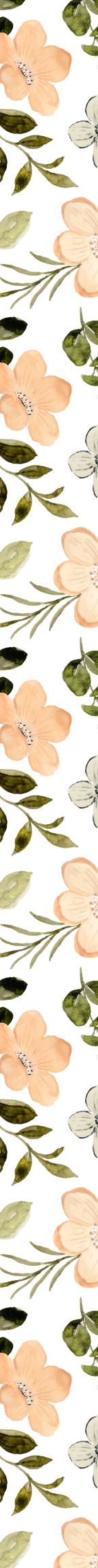 Dog Collar Designs- add design and collar to cart