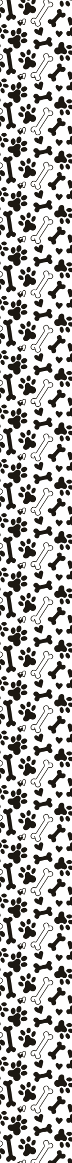 Dog Collar Designs- add design and collar to cart